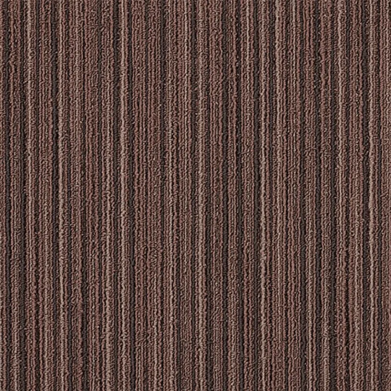 LINEATIONS MARRÓN