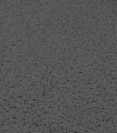 Rollo de felpudo atrapamugre gris oscuro de 12 mm, medida 1.20 × 12 m